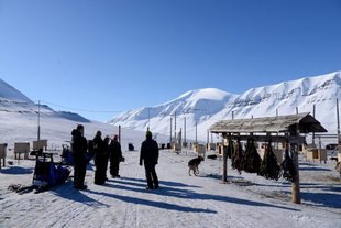 trappers-station-spitsbergen-dog-sledding.jpg